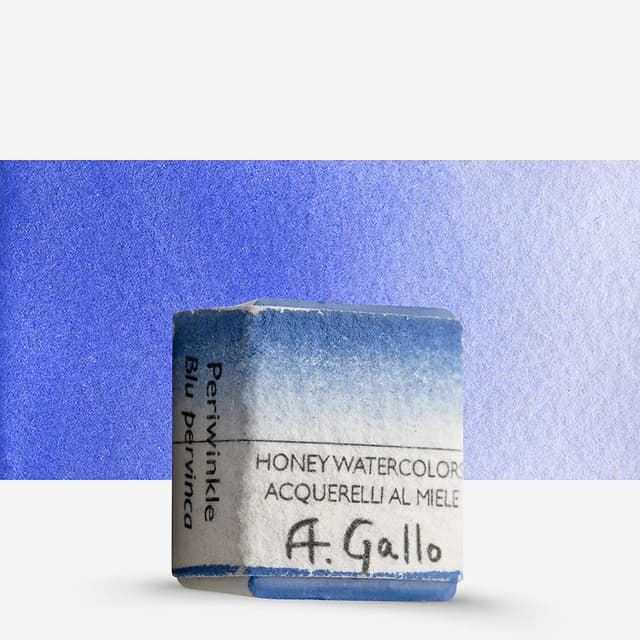 Image of A. Gallo Periwinkle