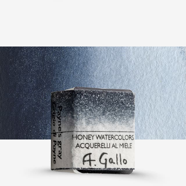 Image of A. Gallo Payne’s Grey
