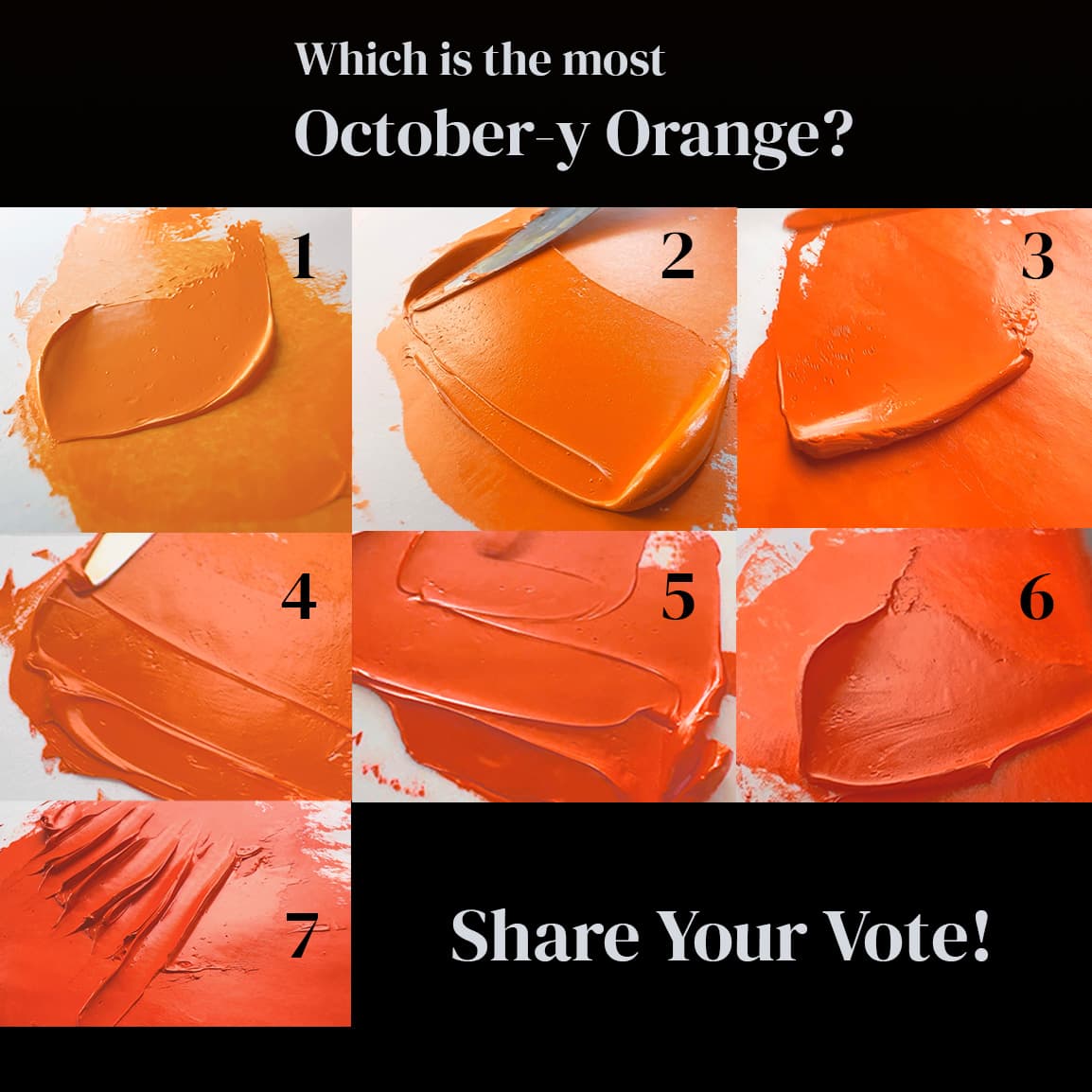 Vote for the Best October Orange!