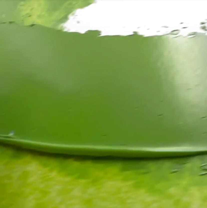 Cinnabar Green Light