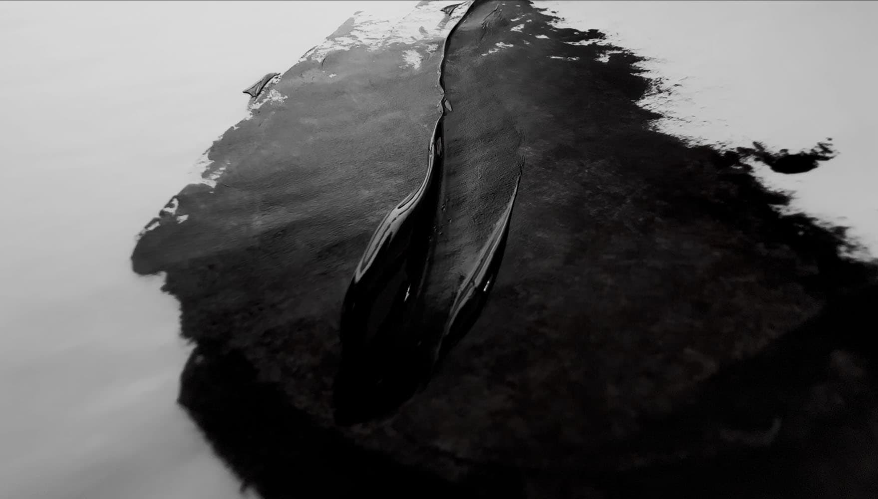 A swoosh of Ivory Black by Michael Harding Oil Paint