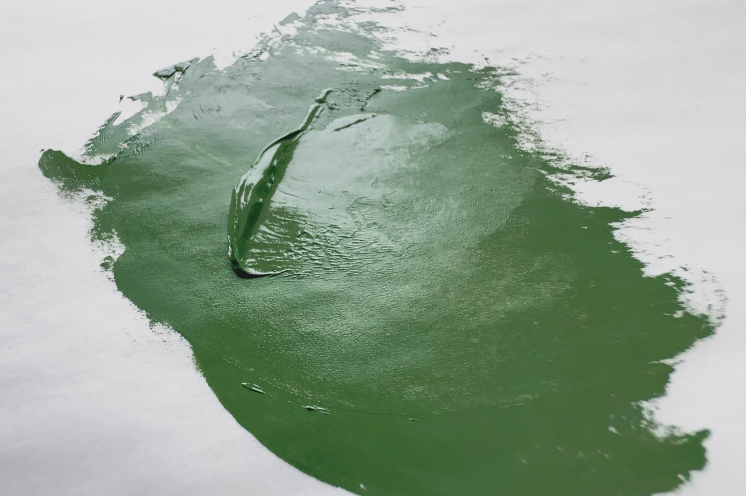 A daub of green oil paint