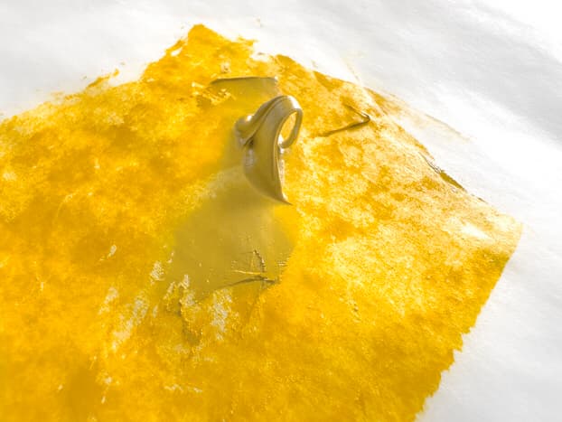 Pigment image