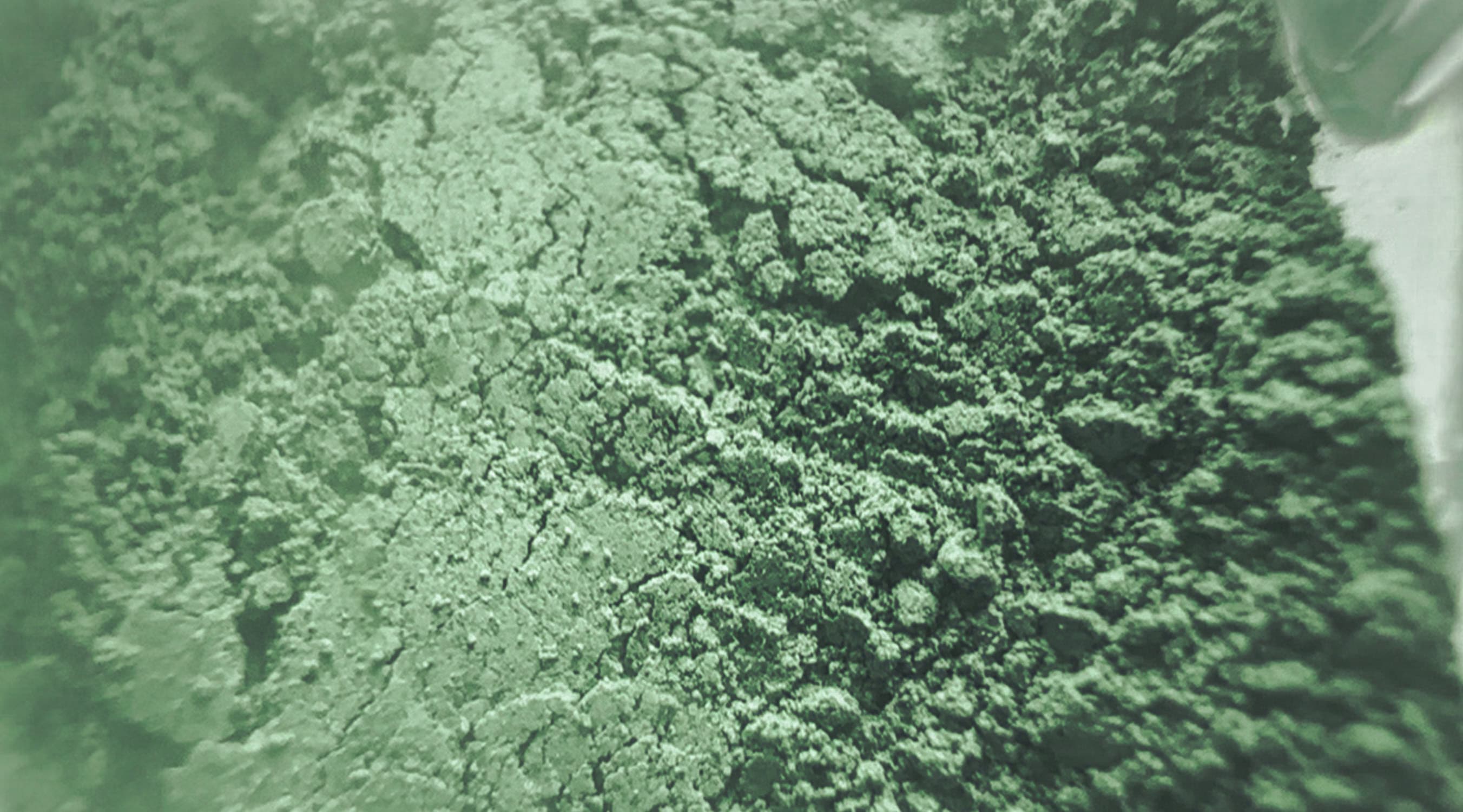 Green dry pigment